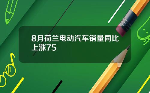 8月荷兰电动汽车销量同比上涨75