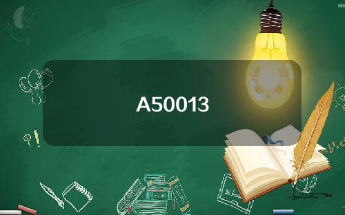 A50013