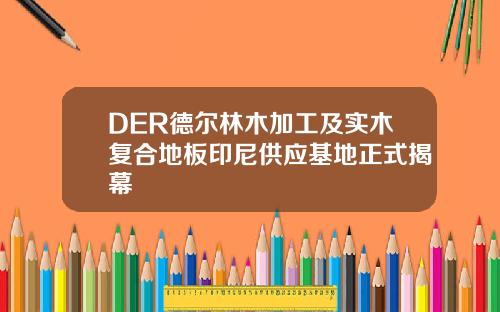 DER德尔林木加工及实木复合地板印尼供应基地正式揭幕