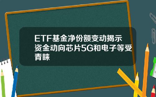 ETF基金净份额变动揭示资金动向芯片5G和电子等受青睐