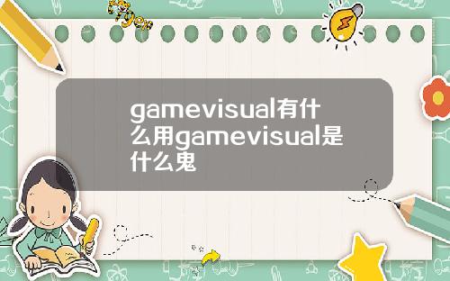 gamevisual有什么用gamevisual是什么鬼