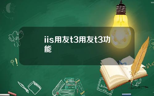 iis用友t3用友t3功能