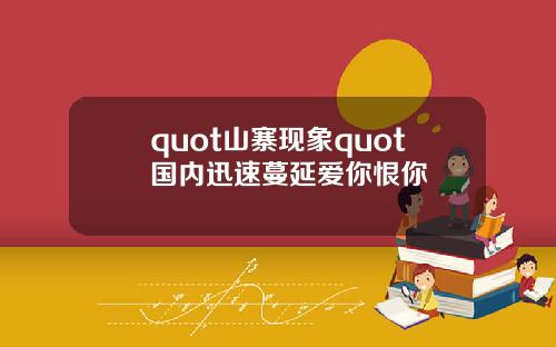 quot山寨现象quot国内迅速蔓延爱你恨你