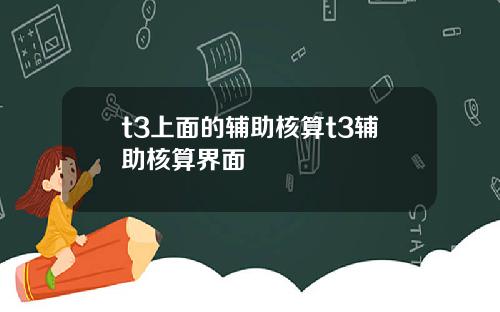 t3上面的辅助核算t3辅助核算界面