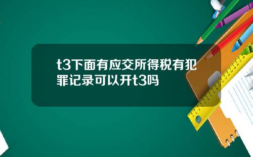 t3下面有应交所得税有犯罪记录可以开t3吗