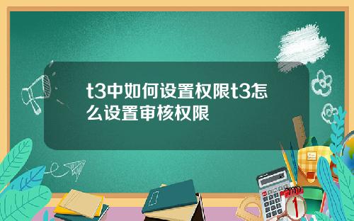 t3中如何设置权限t3怎么设置审核权限