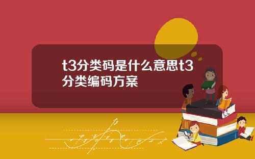 t3分类码是什么意思t3分类编码方案