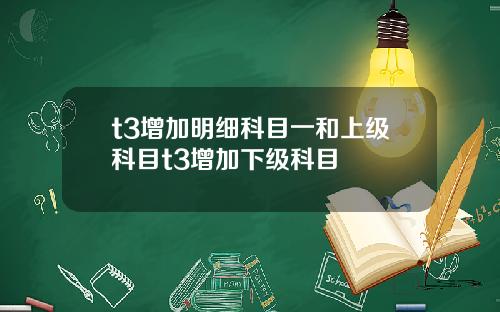 t3增加明细科目一和上级科目t3增加下级科目