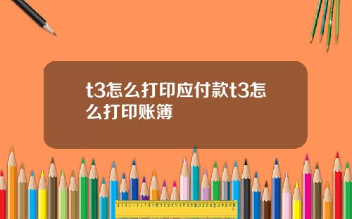 t3怎么打印应付款t3怎么打印账簿