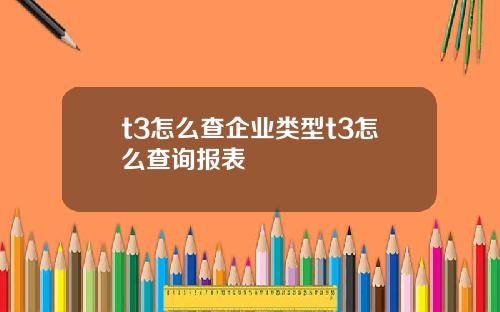 t3怎么查企业类型t3怎么查询报表