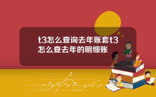 t3怎么查询去年账套t3怎么查去年的明细账