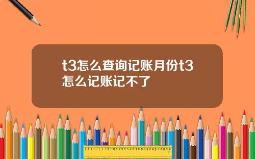 t3怎么查询记账月份t3怎么记账记不了