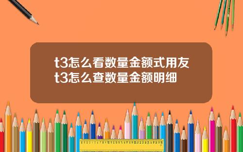 t3怎么看数量金额式用友t3怎么查数量金额明细