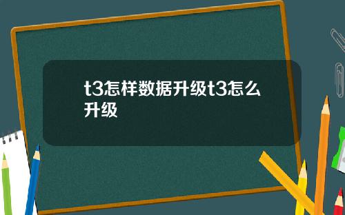 t3怎样数据升级t3怎么升级