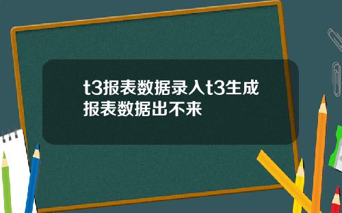 t3报表数据录入t3生成报表数据出不来