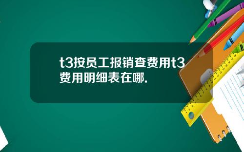 t3按员工报销查费用t3费用明细表在哪.