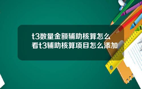 t3数量金额辅助核算怎么看t3辅助核算项目怎么添加