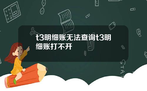 t3明细账无法查询t3明细账打不开