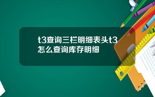 t3查询三栏明细表头t3怎么查询库存明细