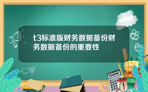 t3标准版财务数据备份财务数据备份的重要性