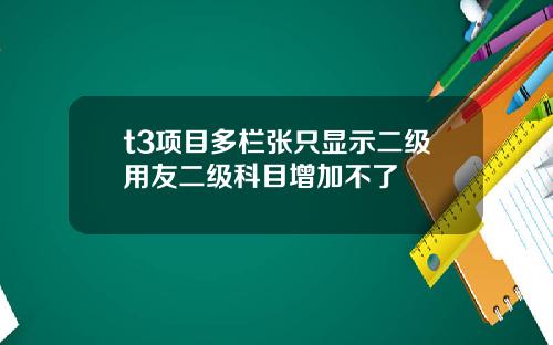 t3项目多栏张只显示二级用友二级科目增加不了