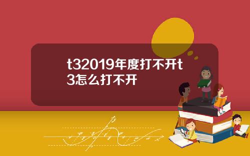 t32019年度打不开t3怎么打不开