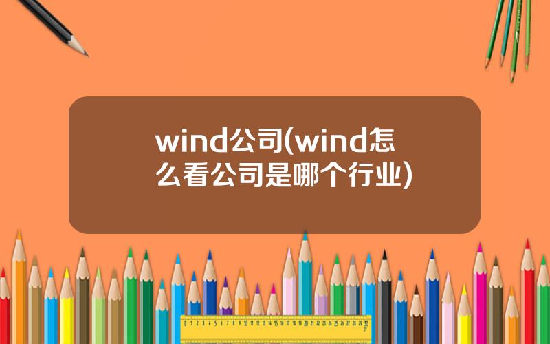 wind公司(wind怎么看公司是哪个行业)