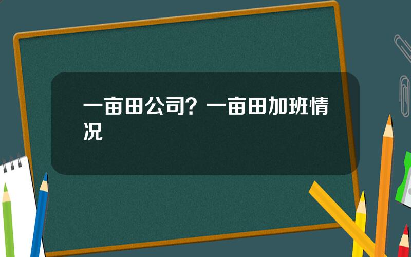 一亩田公司？一亩田加班情况