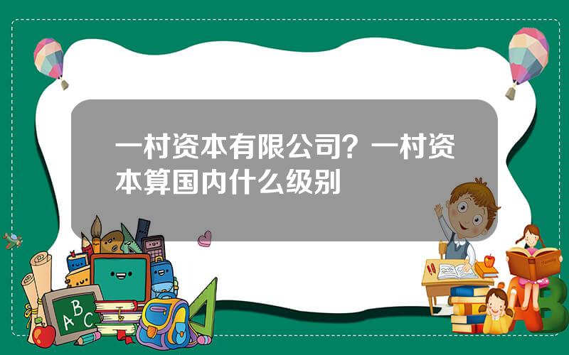 一村资本有限公司？一村资本算国内什么级别