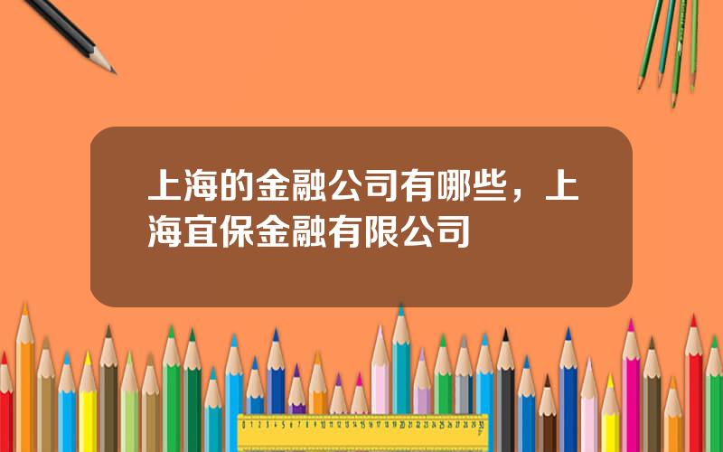 上海的金融公司有哪些，上海宜保金融有限公司