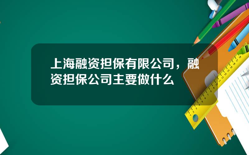 上海融资担保有限公司，融资担保公司主要做什么