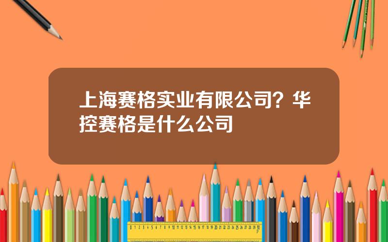 上海赛格实业有限公司？华控赛格是什么公司