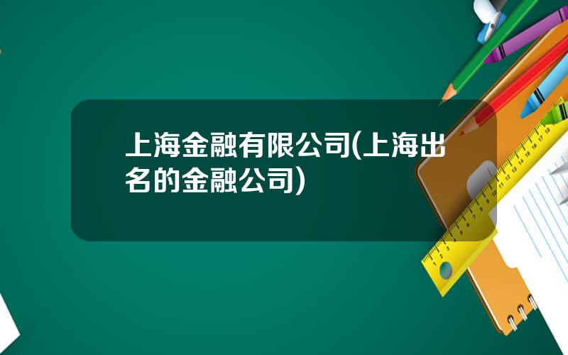 上海金融有限公司(上海出名的金融公司)