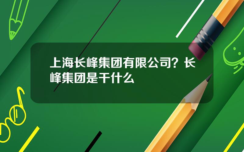 上海长峰集团有限公司？长峰集团是干什么