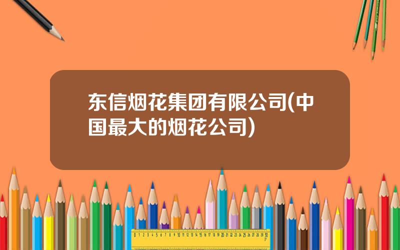 东信烟花集团有限公司(中国最大的烟花公司)