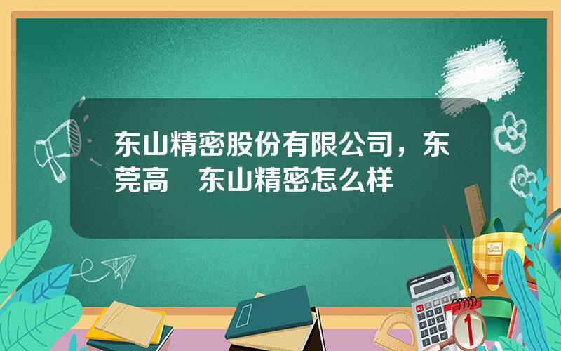 东山精密股份有限公司，东莞高埗东山精密怎么样