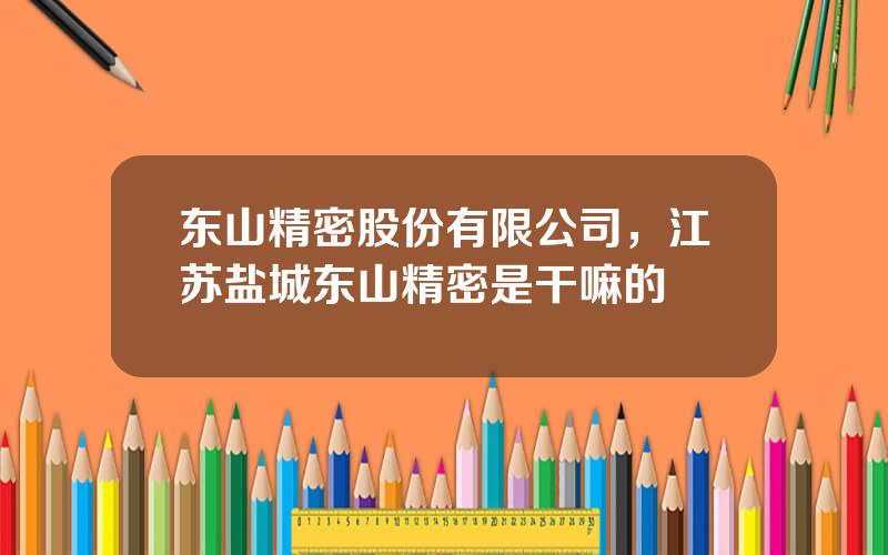 东山精密股份有限公司，江苏盐城东山精密是干嘛的