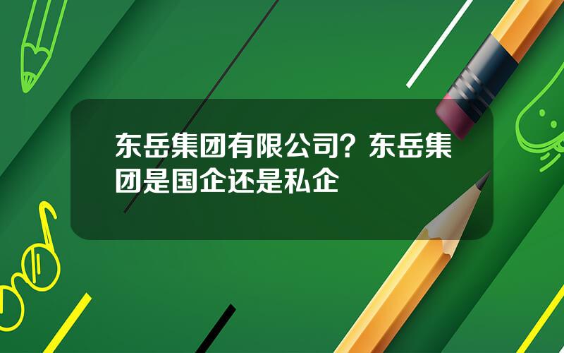 东岳集团有限公司？东岳集团是国企还是私企