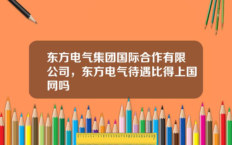 东方电气集团国际合作有限公司，东方电气待遇比得上国网吗