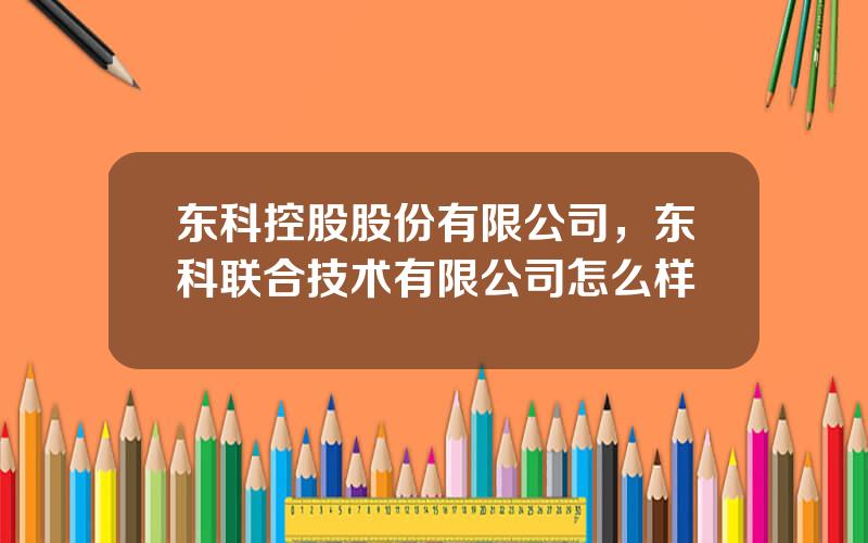 东科控股股份有限公司，东科联合技术有限公司怎么样