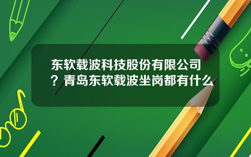 东软载波科技股份有限公司？青岛东软载波坐岗都有什么