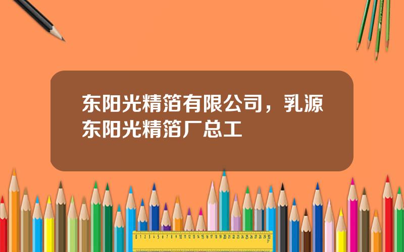 东阳光精箔有限公司，乳源东阳光精箔厂总工