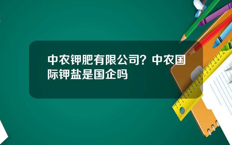 中农钾肥有限公司？中农国际钾盐是国企吗