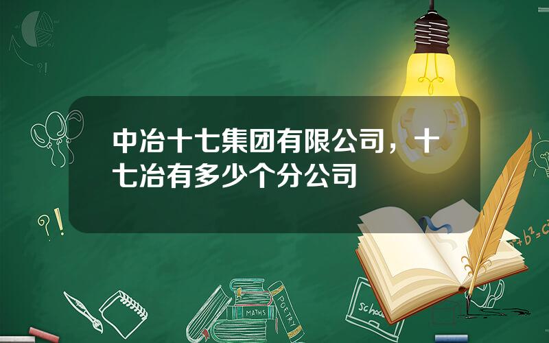 中冶十七集团有限公司，十七冶有多少个分公司