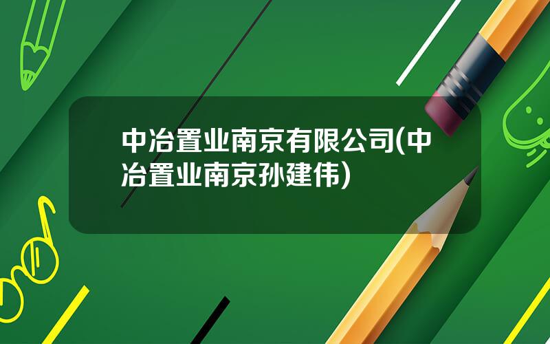 中冶置业南京有限公司(中冶置业南京孙建伟)