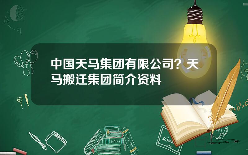 中国天马集团有限公司？天马搬迁集团简介资料