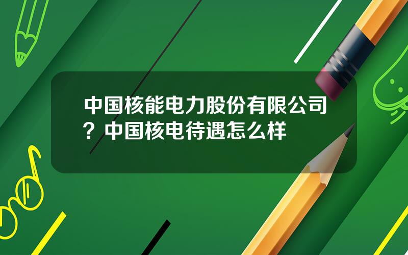 中国核能电力股份有限公司？中国核电待遇怎么样