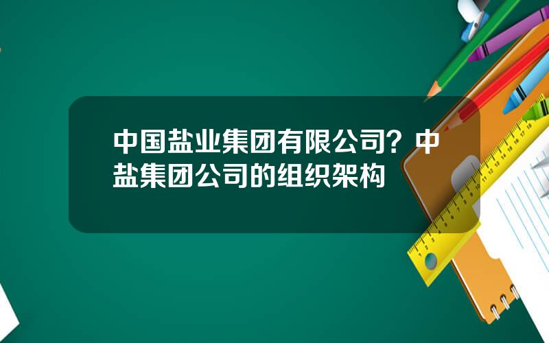 中国盐业集团有限公司？中盐集团公司的组织架构