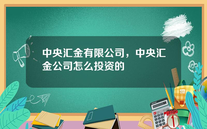 中央汇金有限公司，中央汇金公司怎么投资的