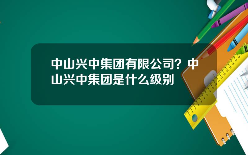 中山兴中集团有限公司？中山兴中集团是什么级别